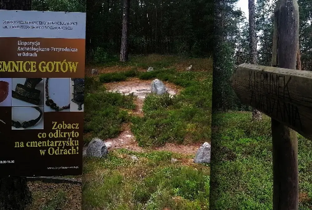 Rezerwat przyrody Kręgi Kamienne: tajemnice i atrakcje, które musisz poznać