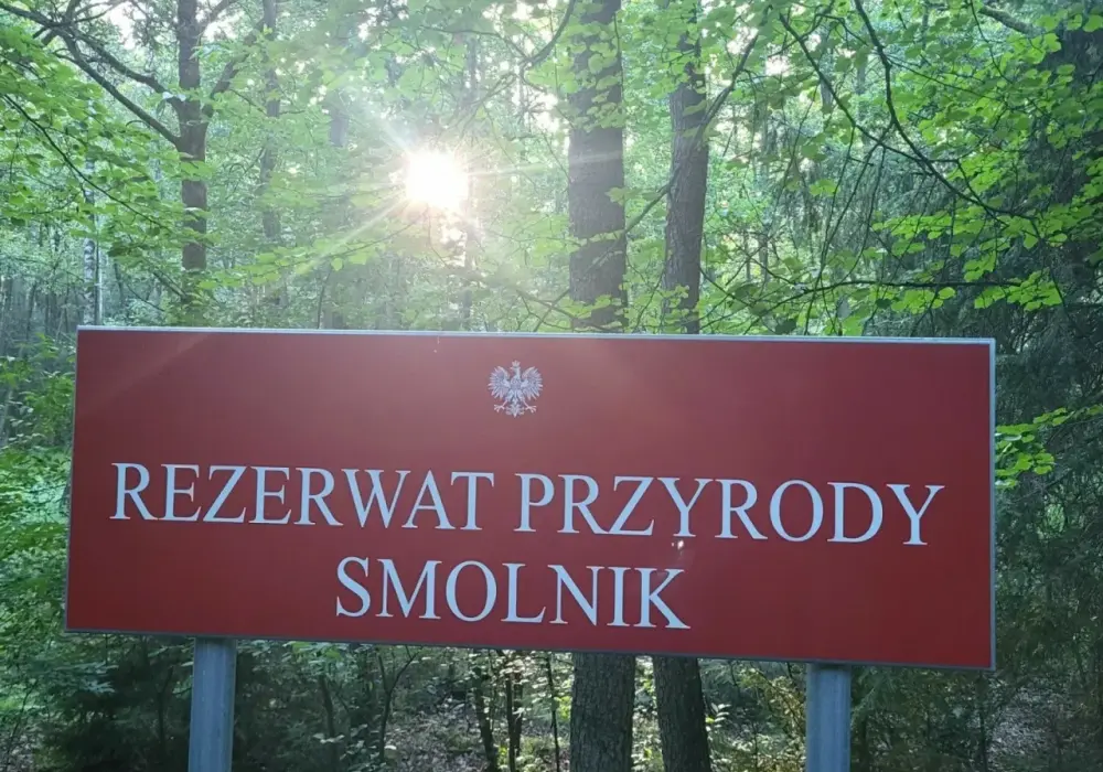 Rezerwaty przyrody opolskie: Odkryj piękno natury i bioróżnorodność
