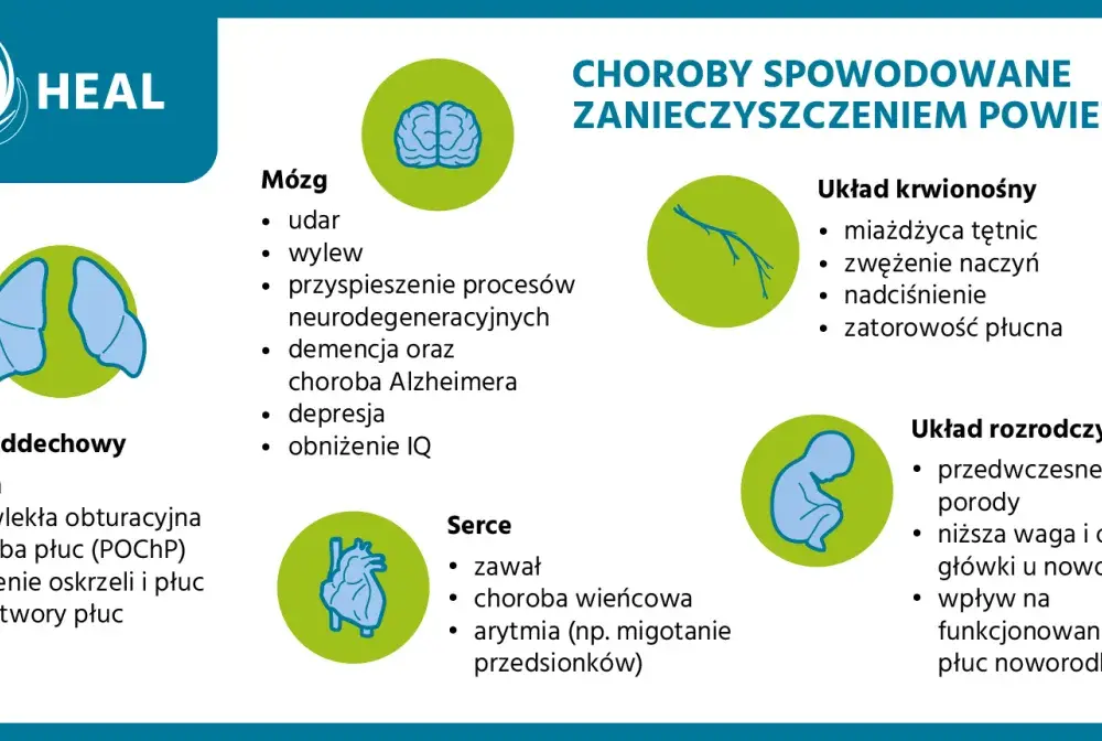 Jak szkodzi smog? Poznaj szokujące skutki dla zdrowia i środowiska