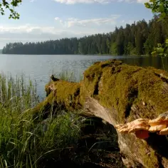 Rezerwat przyrody Jezioro Łuknajno - Odkryj jego niezwykłe bogactwo