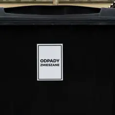 Co wrzucamy do czarnego pojemnika na śmieci? Unikaj tych błędów