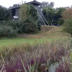 Rezerwat przyrody Ciechocinek: Unikalna flora i tajemnice przyrody