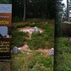 Rezerwat przyrody Kręgi Kamienne: tajemnice i atrakcje, które musisz poznać