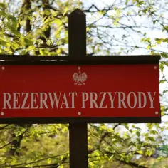 Rezerwaty przyrody Bór w Polsce - tajemnice, które musisz poznać