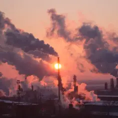 Czy smog jest w domu? Jak zanieczyszczenia wpływają na twoje zdrowie
