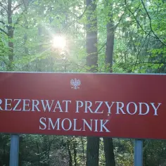 Rezerwaty przyrody opolskie: Odkryj piękno natury i bioróżnorodność