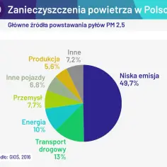 Skąd smog w Polsce? Odkryj przyczyny i skutki zanieczyszczenia powietrza
