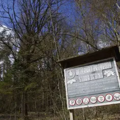 Rezerwaty przyrody Dębina w Polsce: unikalne miejsca i ich tajemnice