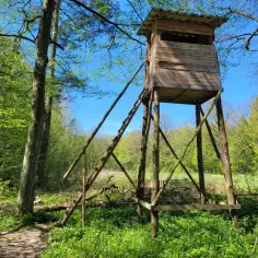 Rezerwat przyrody Wiączyń: unikalne ekosystemy i historia w jednym miejscu