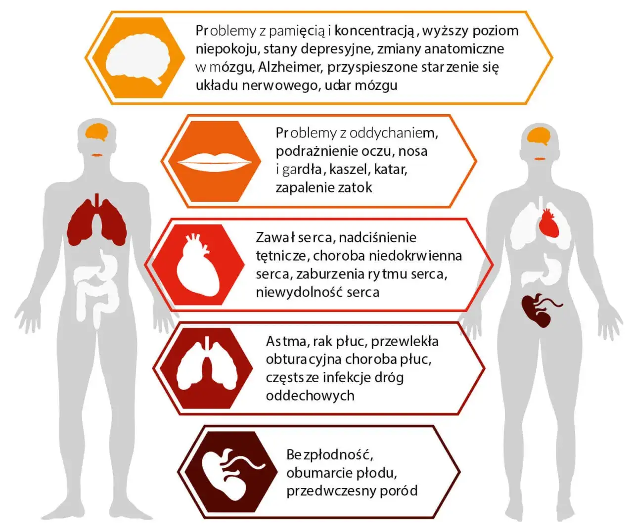 Zdjęcie Czy smog jest w domu? Jak zanieczyszczenia wpływają na twoje zdrowie