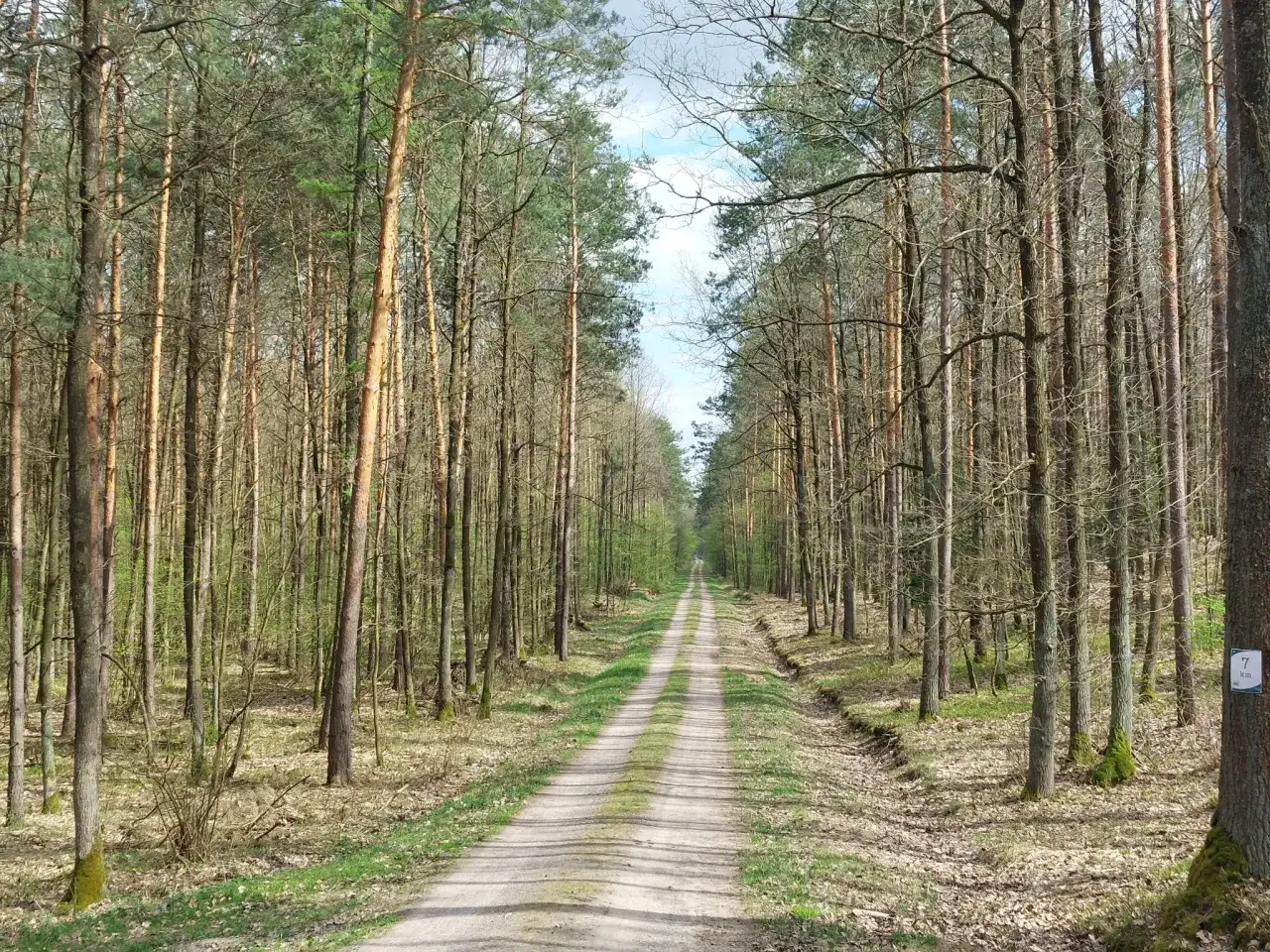 Zdjęcie Rezerwat przyrody Kozie Góry - unikalne miejsca i rzadkie gatunki
