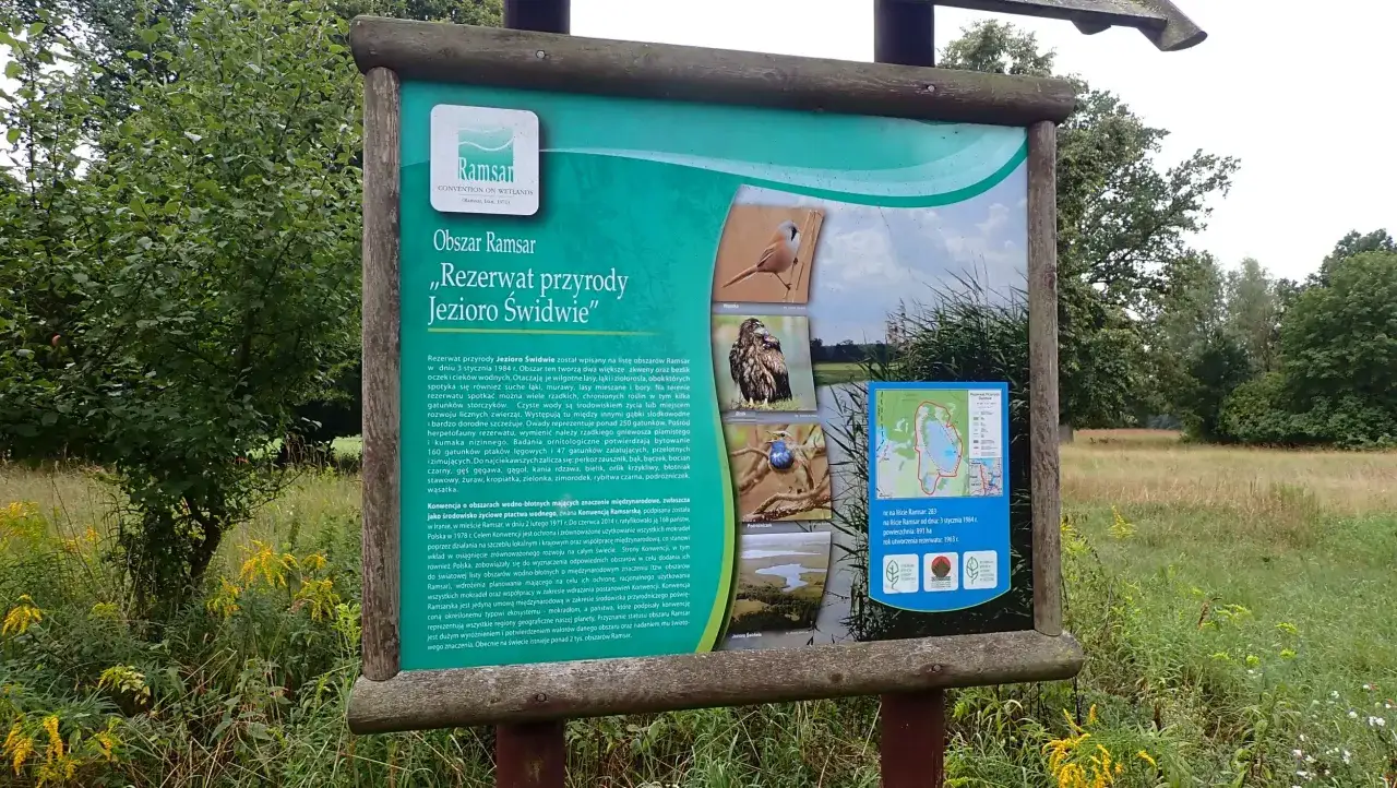 Zdjęcie Rezerwat przyrody Świdwie: unikalne siedlisko ptaków wodnych i bioróżnorodność
