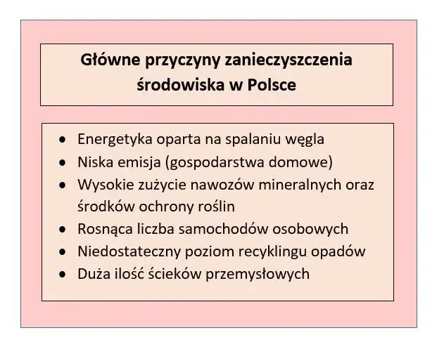 Zdjęcie Jakie są źródła zanieczyszczenia środowiska w Polsce i ich skutki?