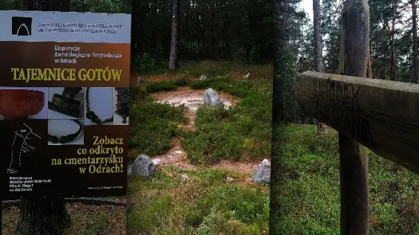 Rezerwat przyrody Kręgi Kamienne: tajemnice i atrakcje, które musisz poznać