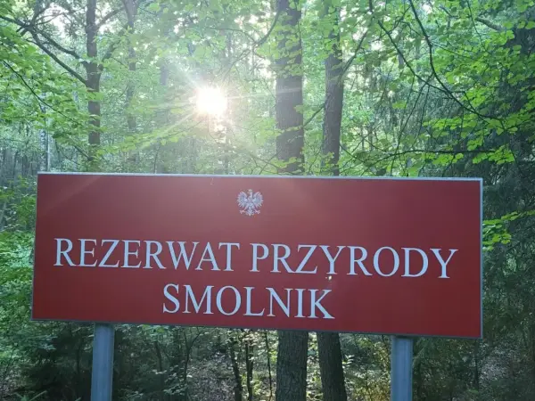 Rezerwaty przyrody opolskie: Odkryj piękno natury i bioróżnorodność