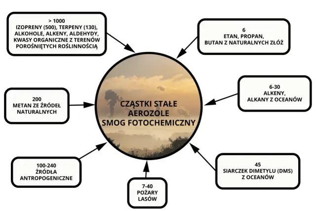 Schemat pokazuje, jak powstaje smog fotochemiczny: cząstki stałe i aerozole pochodzą z roślinności, paliw kopalnych, oceanów, pożarów i działalności człowieka.
